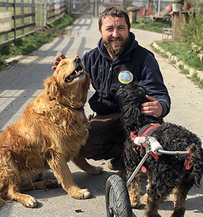 Wir helfen Tieren aus der Ukraine