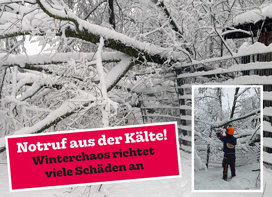 Winternotfall bei der Pfotenhilfe