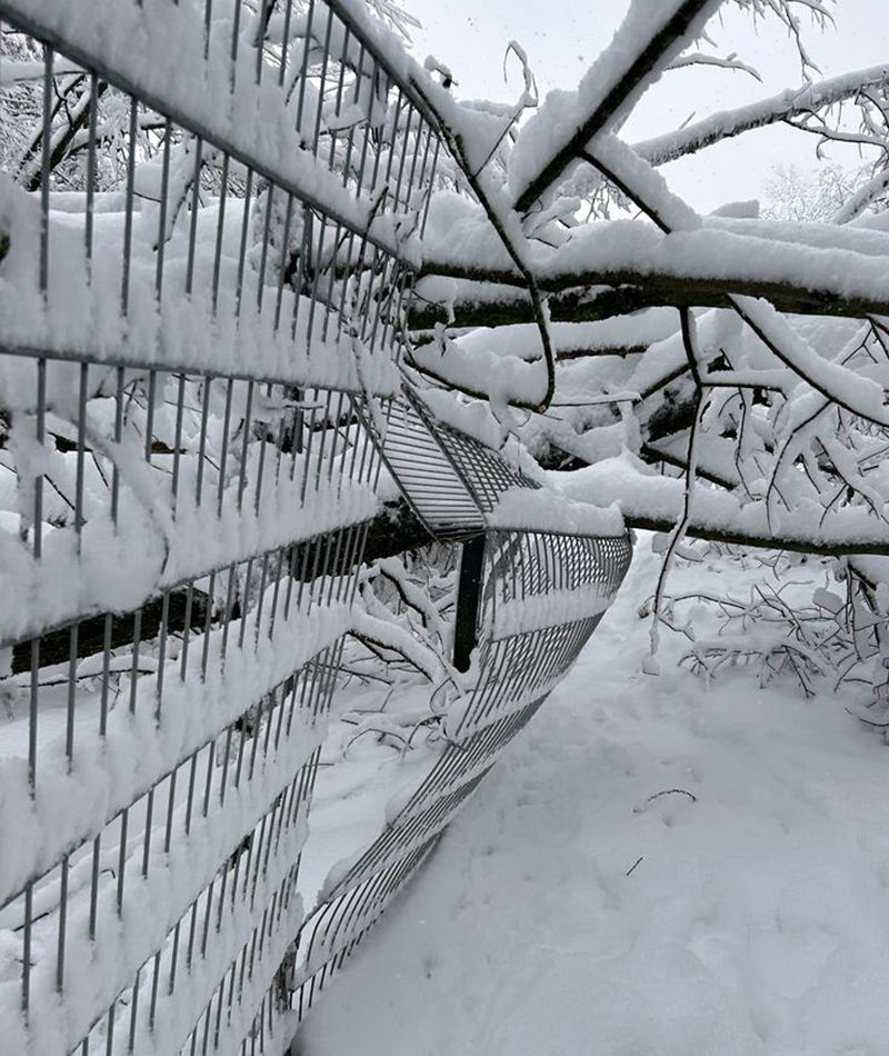 Winternotfall bei der Pfotenhilfe