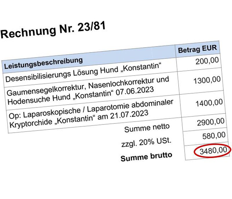 Rechnung von Konstantins Behandlungen