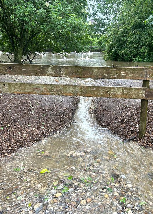 Unwetter, Notfall, Tierschutzhof Pfotenhilfe, Pfotenhilfe Lochen, Lochen, Pfotenhilfe