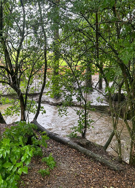 Unwetter, Notfall, Tierschutzhof Pfotenhilfe, Pfotenhilfe Lochen, Lochen, Pfotenhilfe