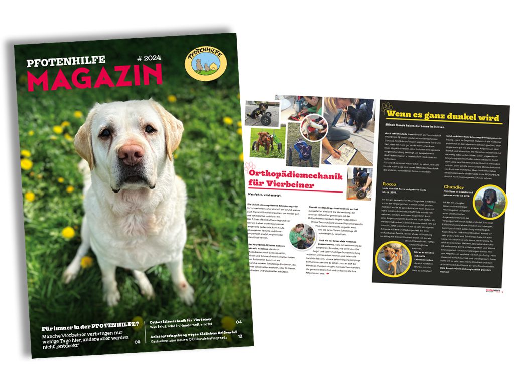 Pfotenhilfe Magazin 2024