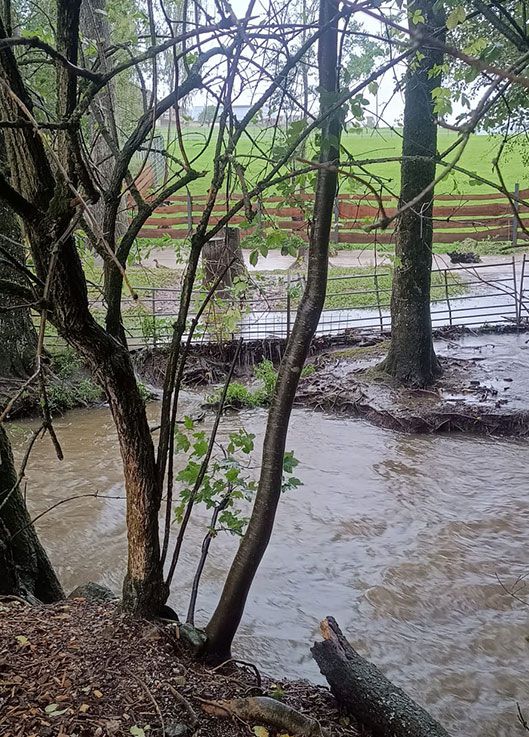 Unwetter, Notfall, Tierschutzhof Pfotenhilfe, Pfotenhilfe Lochen, Lochen, Pfotenhilfe