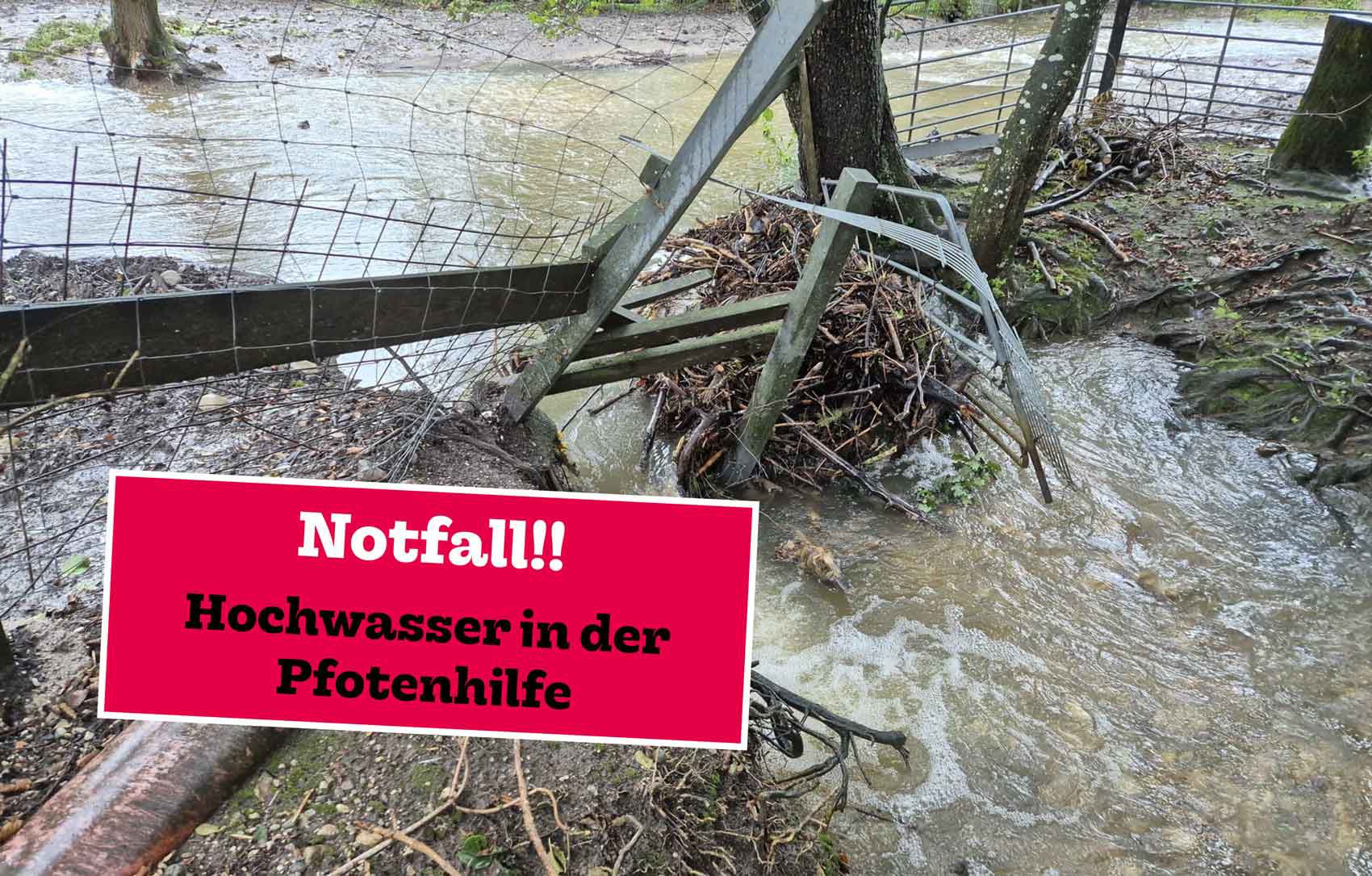 Unwetter, Notfall, Tierschutzhof Pfotenhilfe, Pfotenhilfe Lochen, Lochen, Pfotenhilfe