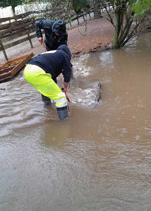 Unwetter, Notfall, Tierschutzhof Pfotenhilfe, Pfotenhilfe Lochen, Lochen, Pfotenhilfe