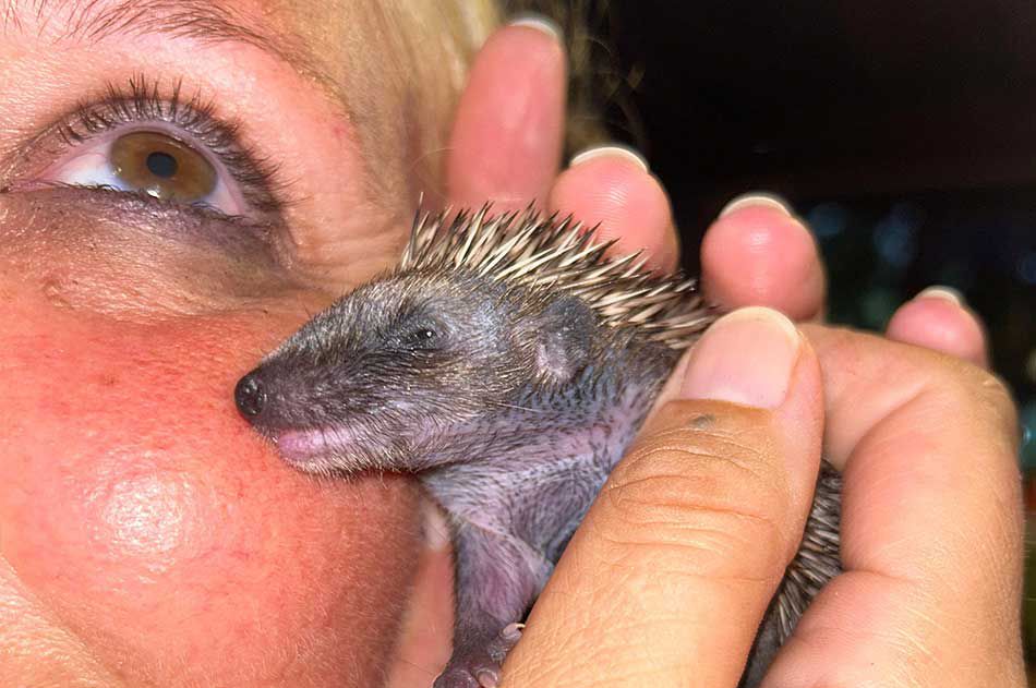 Johanna mit Babyigel