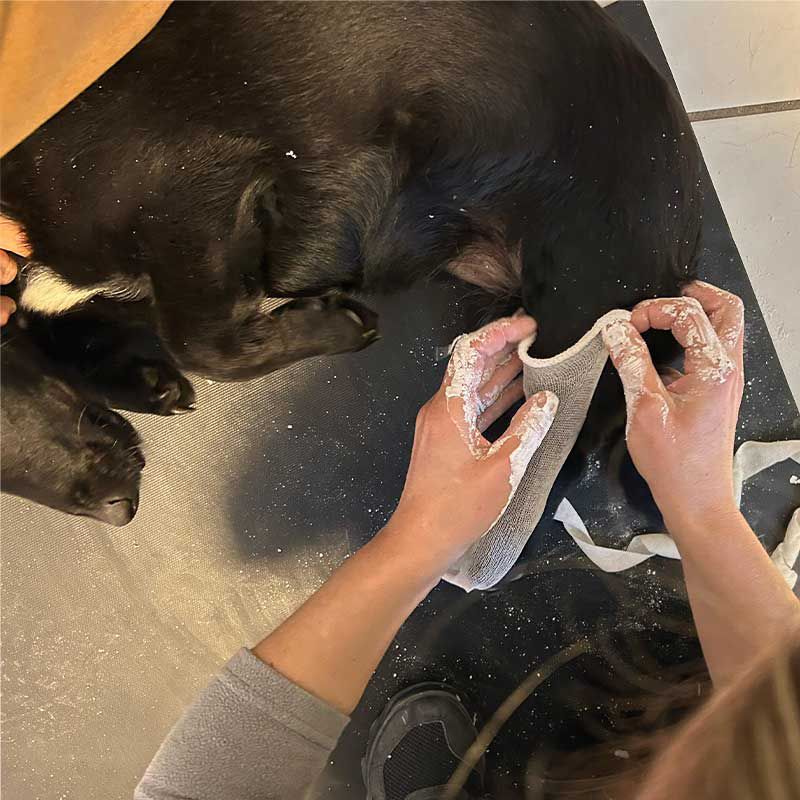 Enzo mit Betreuerin