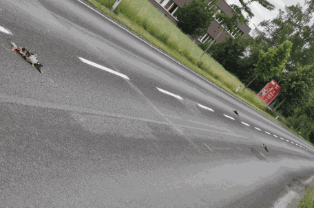 Enten