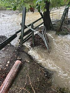 NOTFALL: Hochwasser in der PFOTENHILFE!