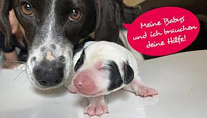 Meine Spende für Leni und ihre Kinder