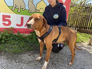 Meine Spende für Lucy und ihre Babys