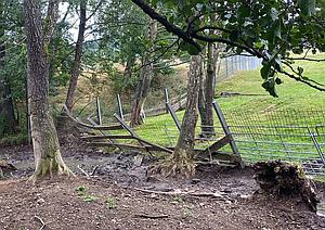 Schwere Sturmschäden bei der PFOTENHILFE