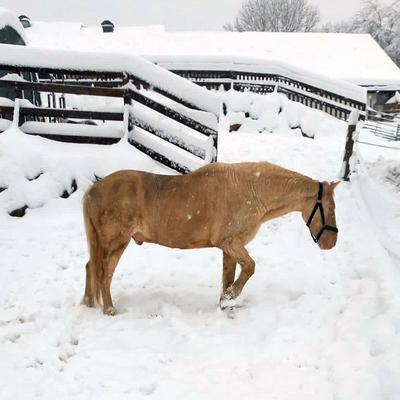 Meine Spende bei Schnee und Kälte